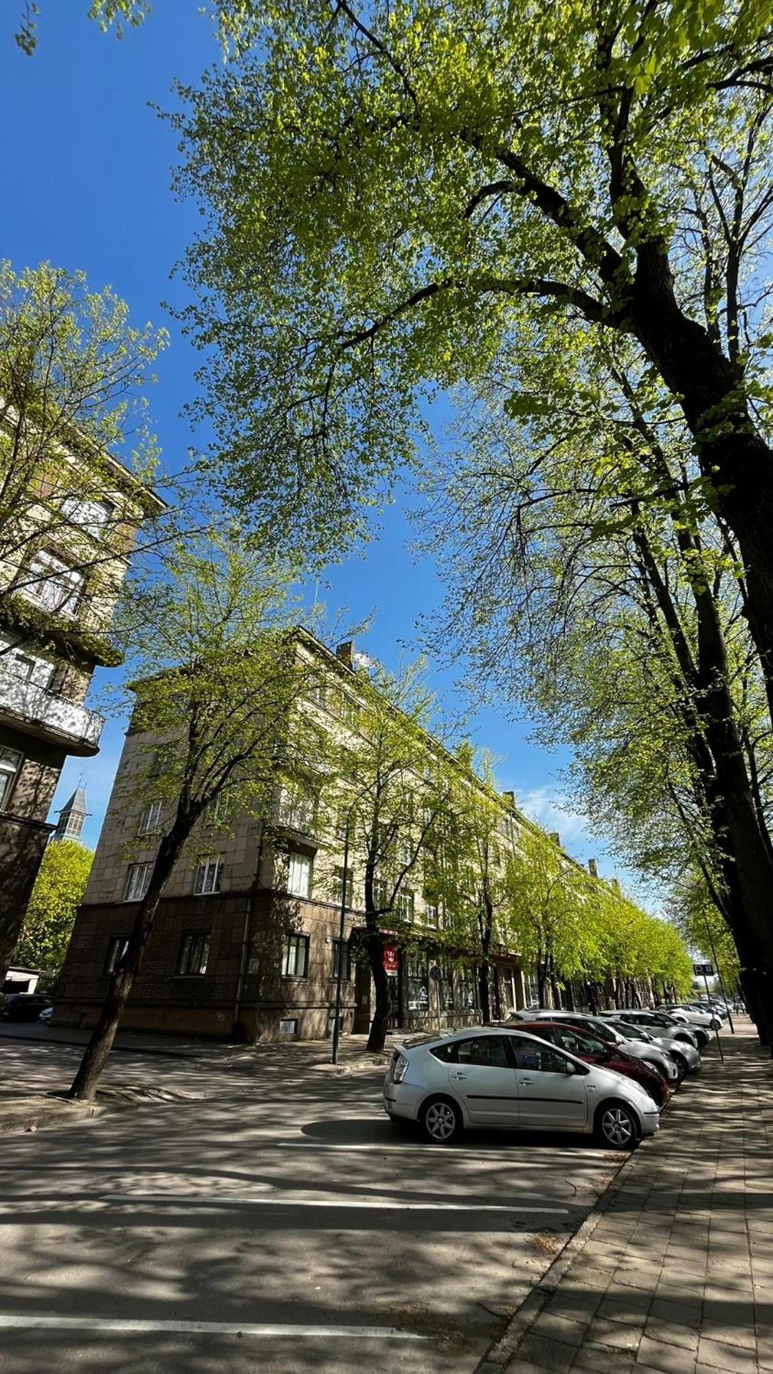 Heritage House Dane Apartment Клайпеда Экстерьер фото